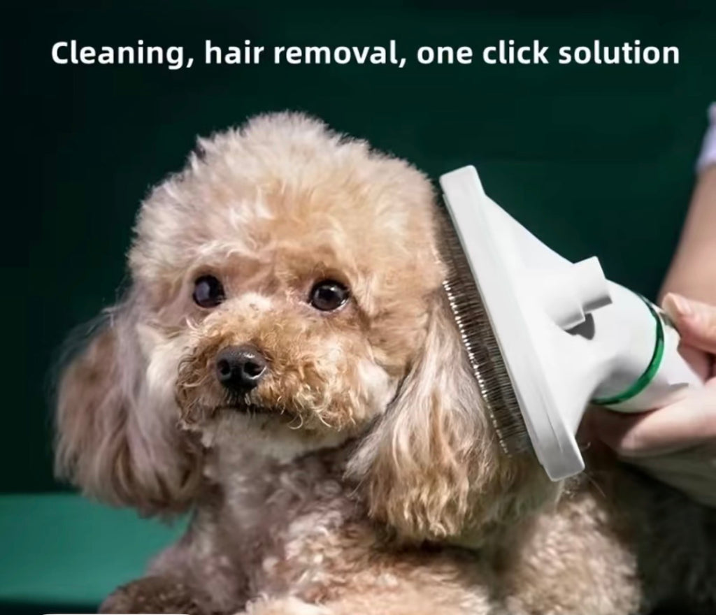HydraPaw
